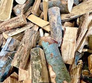 Legna da ardere secca