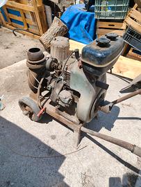 Pompa acqua irrigazione a scoppio