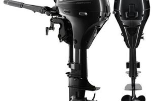 Motore fuoribordo Suzuki DF 9.9 AL