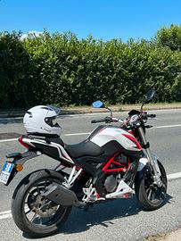Moto Benelli 251