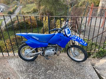 Yamaha pit bike ttr 90