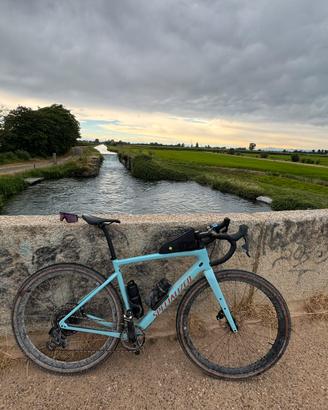 Specialized Diverge Expert Carbon in taglia 56