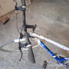 Bicicletta
