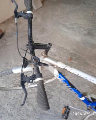Bicicletta