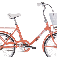 Bici Pieghevole