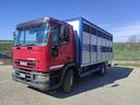 iveco-eurocargo-120e24-trasporto-bestiame-irma-