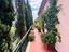 Immagine 8