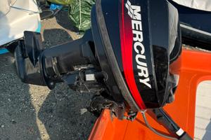 Fuoribordo Mercury 8cv 2t