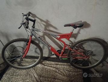 Bicicletta