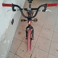 BMX Detox