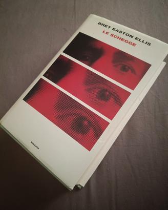 libro " le schegge "