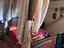 Immagine 1