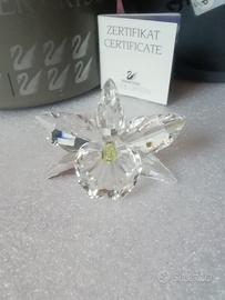 orchidea Swarovski 