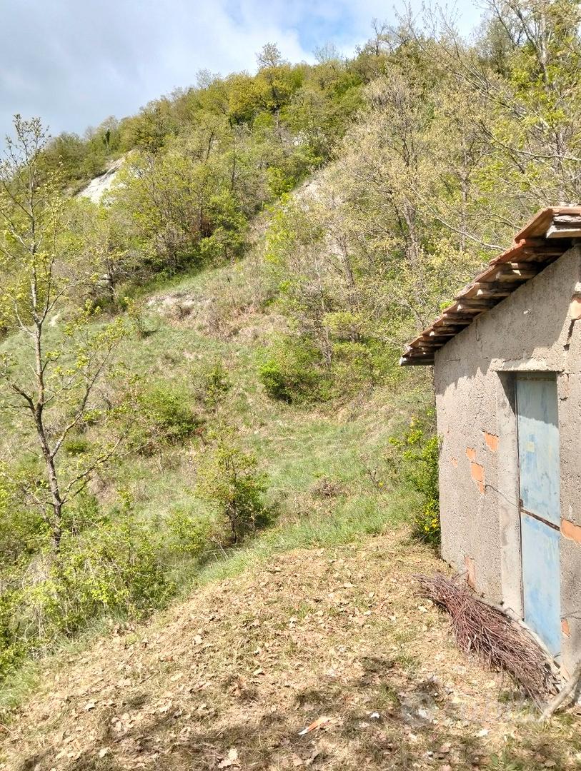 Capanno di caccia con terreno - Vista 5
