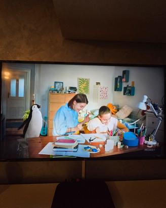 tv lg 49