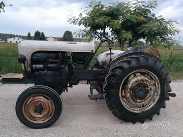 Lamborghini 226