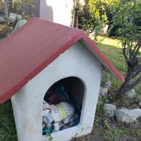Cuccia in cemento