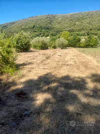 Terreno pontelatone nella pace