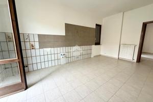 5 LOCALI A ROTONDI