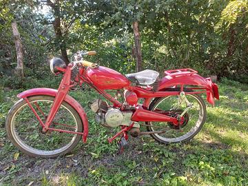 Moto Guzzi - modello cardellino