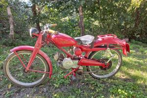 Moto Guzzi - modello cardellino