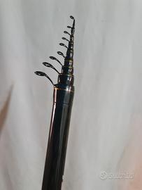bolognese daiwa specialist  6mt