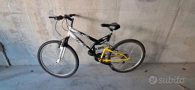 Bicicletta ragazzo 