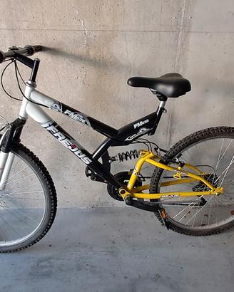 Bicicletta ragazzo 