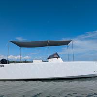 SmartBoat 23 Mercury Verado 150