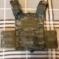 Plate carrier