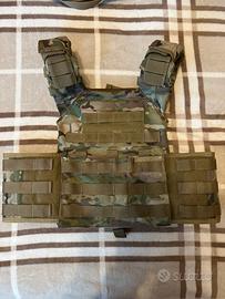 Plate carrier