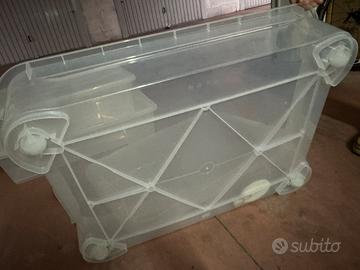 Contenitori box in plastica