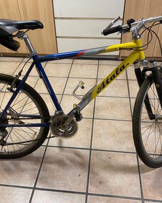 bicicletta