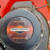 Taglia erba Tosa erba Briggs & Stratton
