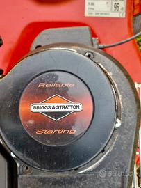Taglia erba Tosa erba Briggs & Stratton