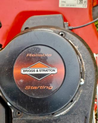 Taglia erba Tosa erba Briggs & Stratton