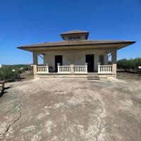 Villetta indipendente con uliveto