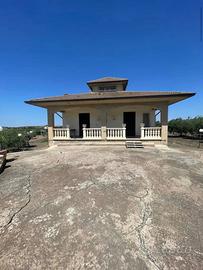 Villetta indipendente con uliveto