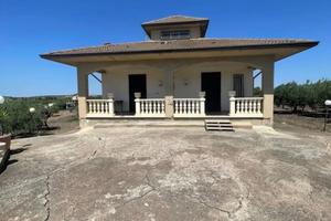 Villetta indipendente con uliveto