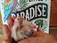 Immagine 1