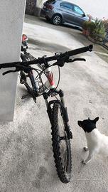 Mountain bike West Lake 