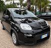 fiat-panda-1-0-firefly-s-s-hybrid-city-cross
