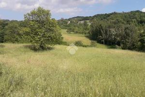 TER. AGRICOLO A PRATA DI PRINCIPATO ULTRA