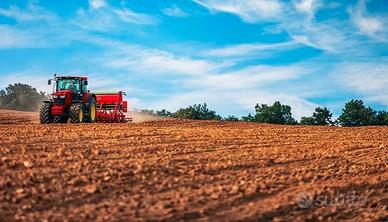 Due terreni zona Gallipoli