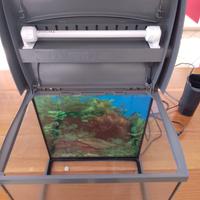 Acquario da 30 litri