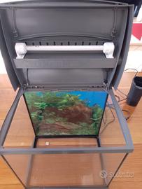 Acquario da 30 litri