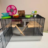 Gabbia spaziosa adatta per cricedi russi/dorati