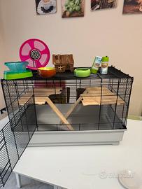 Gabbia spaziosa adatta per cricedi russi/dorati