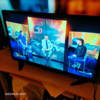 TV 24 pollici ariell