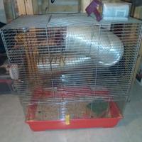 gabbia per criceti
